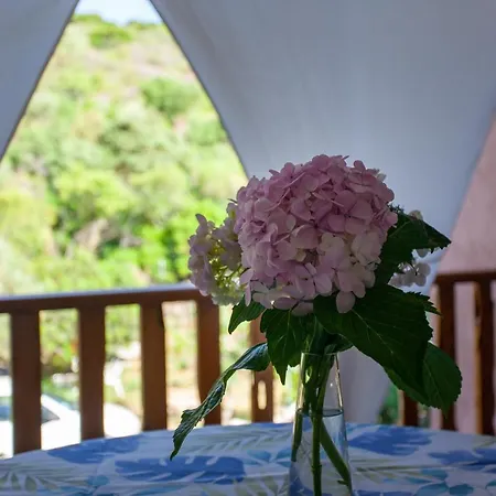 Bed and Breakfast Lu Lioni